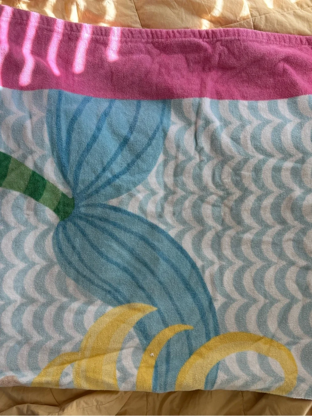 Pottery Barn Kids hooded towel
